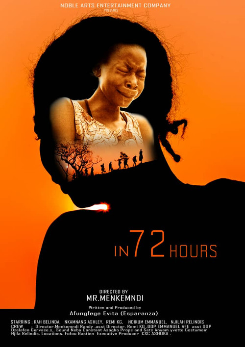 Movie poster for In 72 hours (2019)