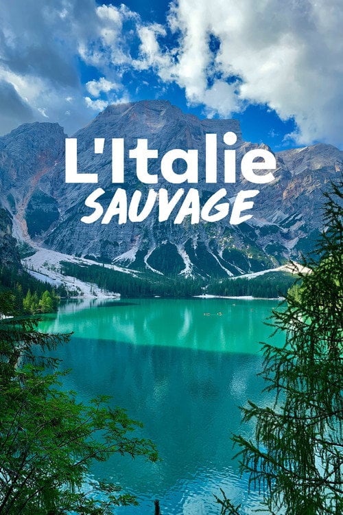 Series poster for L'Italie sauvage (2014)