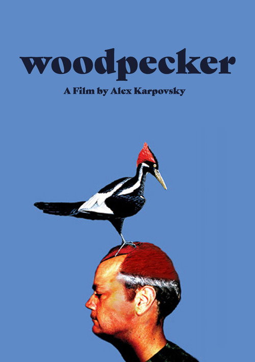 Movie poster for Woodpecker (2008)