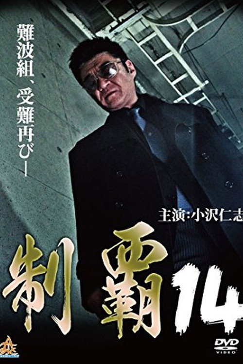 Movie poster for Conquest 14 (2017)