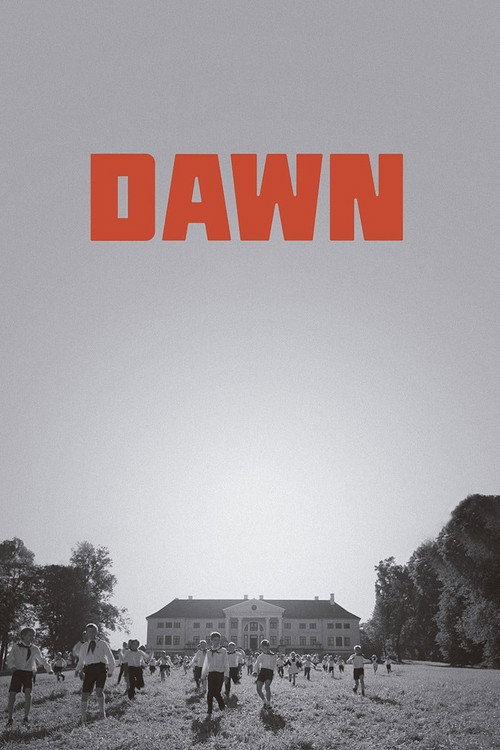 Movie poster for Dawn (2015)