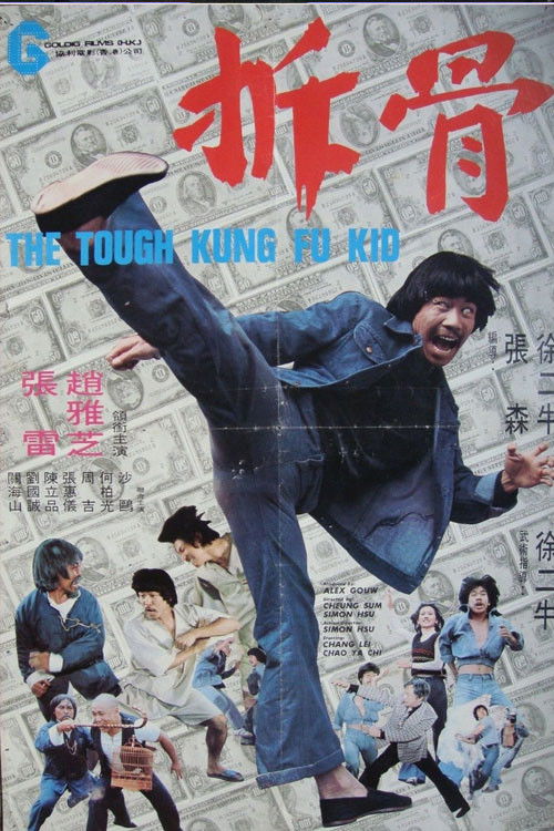 Movie poster for The Tough Kung Fu Kid (1978)