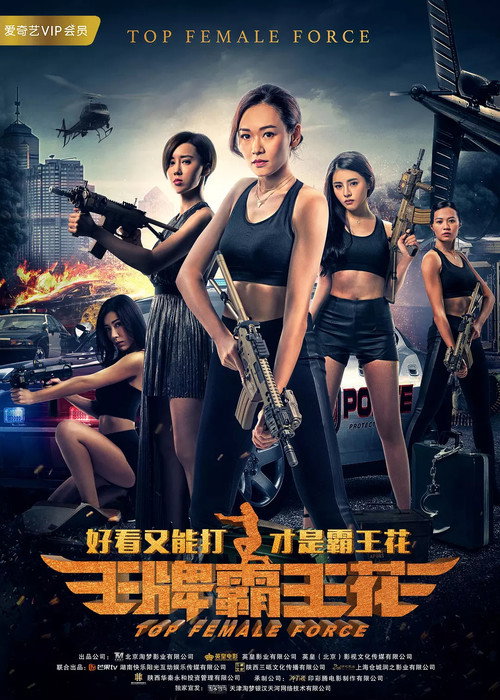 Movie poster for Top Female Force (2019)