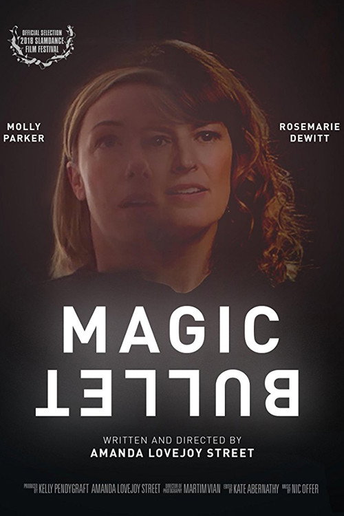 Movie poster for Magic Bullet (2018)