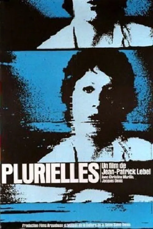 Movie poster for Plurielles (1979)