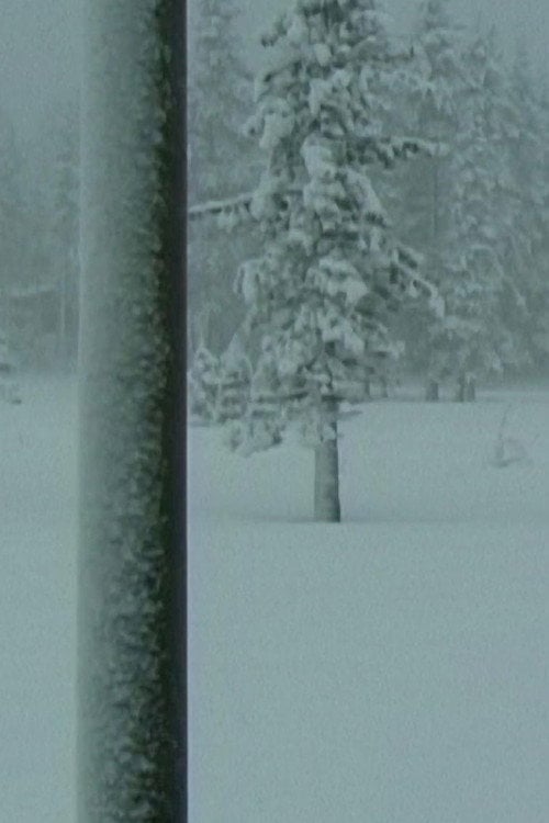 Movie poster for Crystal Palace (2011)