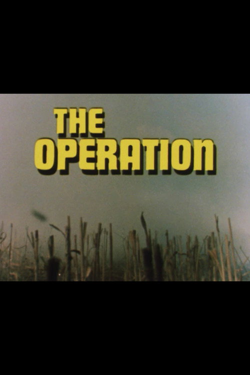 Movie poster for The Operation (1973)