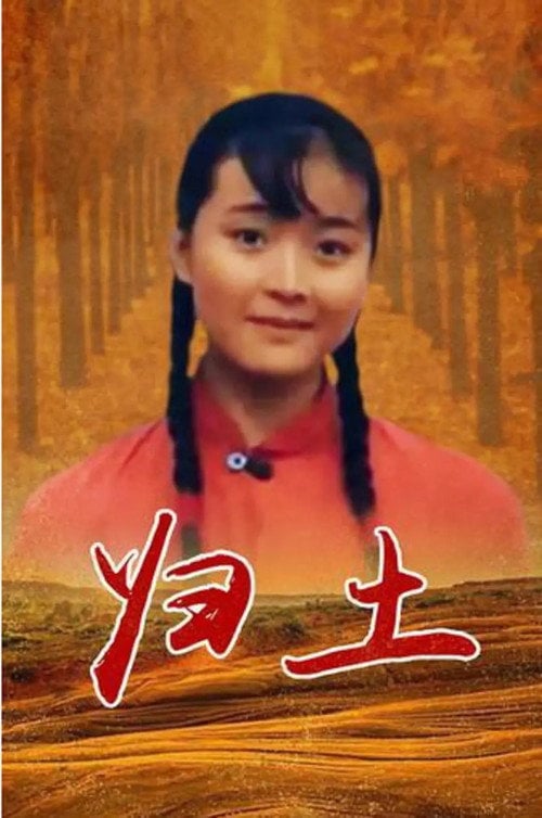Movie poster for Back to Roots (1995)