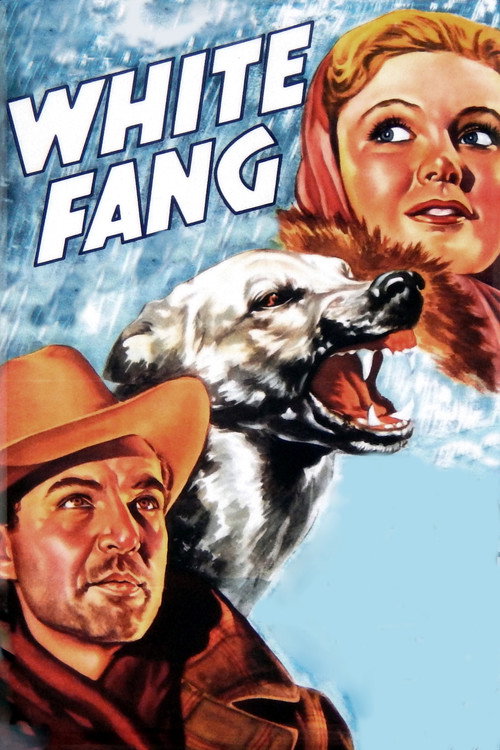 Movie poster for White Fang (1936)
