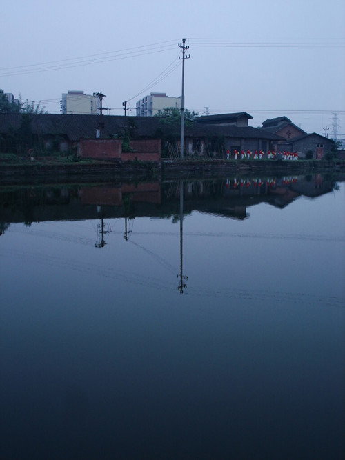 Movie poster for Mongolism (2010)