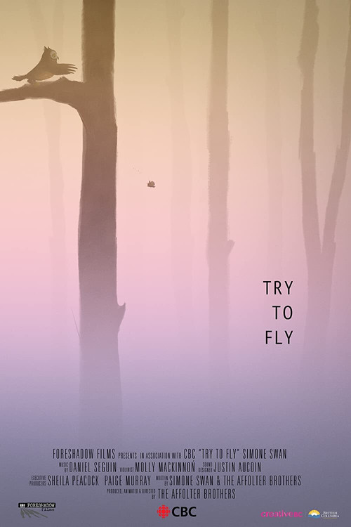 Movie poster for Try to Fly (2020)