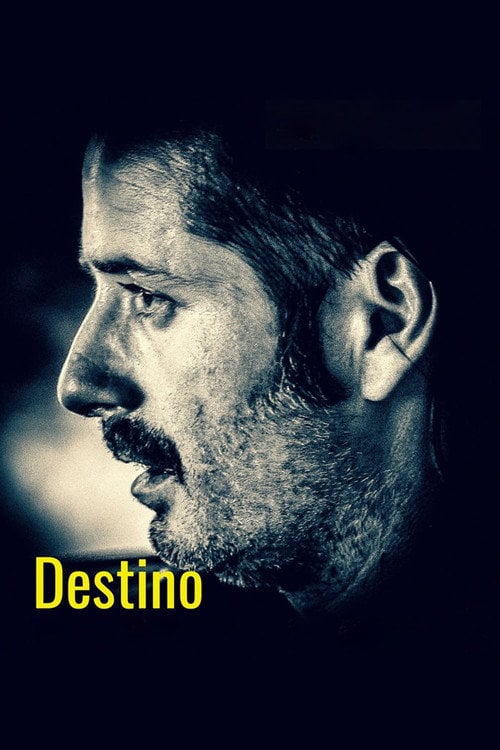 Movie poster for Destiny (2019)
