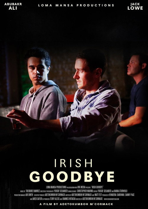 Movie poster for Irish Goodbye (2018)