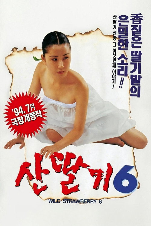Movie poster for Mountain Strawberries 6 (1994)