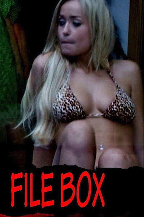 Movie poster for File Box (2013)