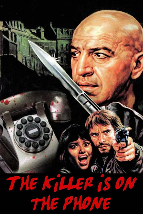 Movie poster for The Killer Is on the Phone (1972)