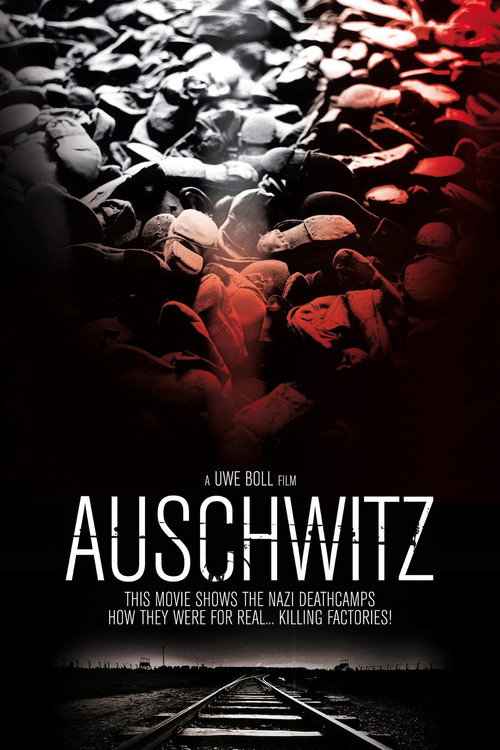 Movie poster for Auschwitz (2011)