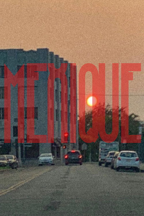 Movie poster for Mexique