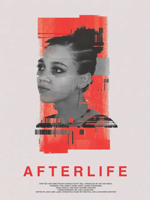Movie poster for Afterlife