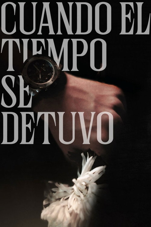 Movie poster for Cuando el tiempo se detuvo (2025)