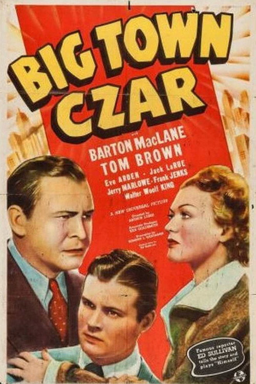 Movie poster for Big Town Czar (1939)