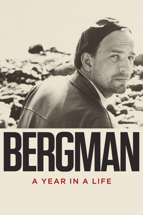 Movie poster for Bergman: A Year in a Life (2018)