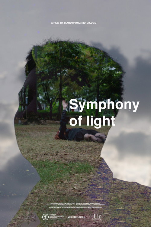 Movie poster for Symphony of light