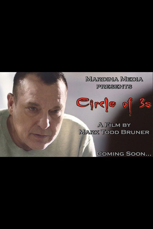 Movie poster for Circle of 3s