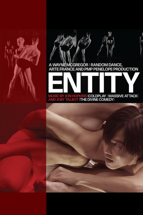 Movie poster for Entity (2010)