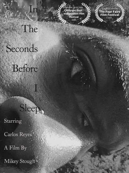 Movie poster for In the Seconds Before I Sleep (2023)