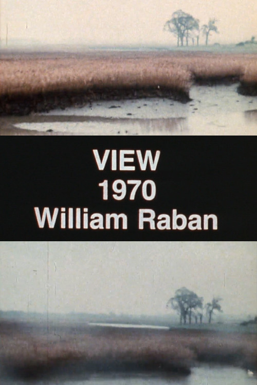 Movie poster for View (1970)