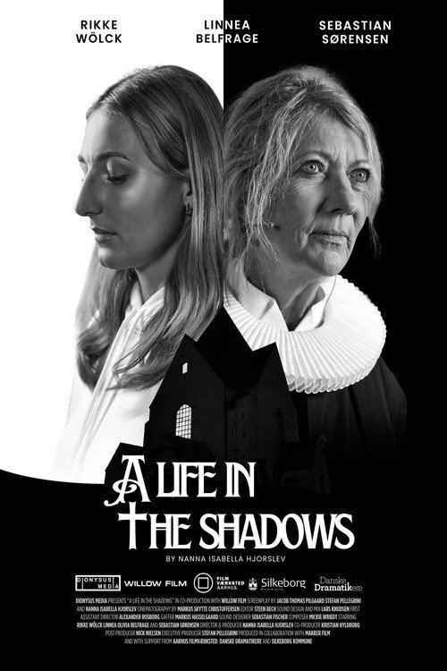 Movie poster for A Life In The Shadows (2025)
