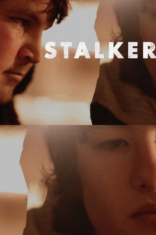 Movie poster for Stalker (2012)