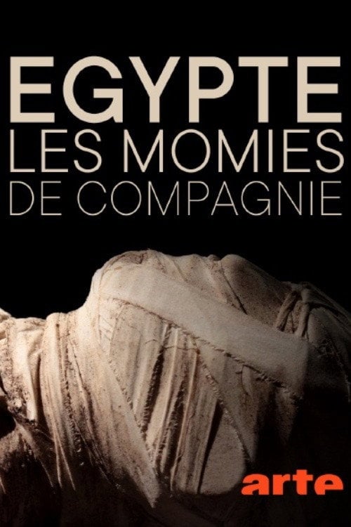 Movie poster for The Mysterious Mummified Dogs of Ancient Egypt (2020)