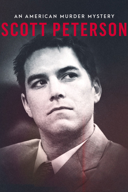 Movie poster for Scott Peterson: An American Murder Mystery (2017)