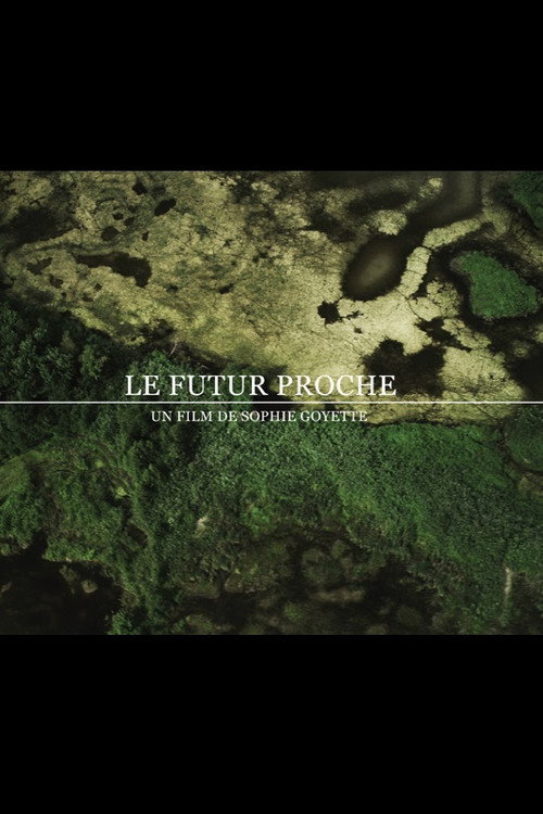 Movie poster for The Near Future (2012)