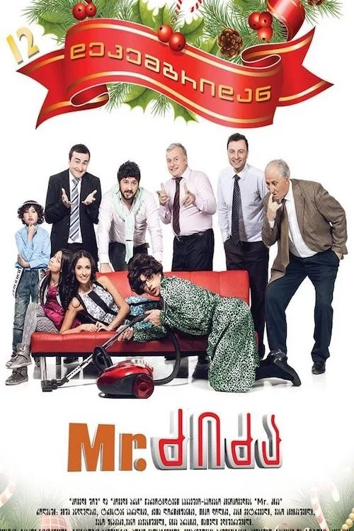 Movie poster for Mr. Nanny (2013)