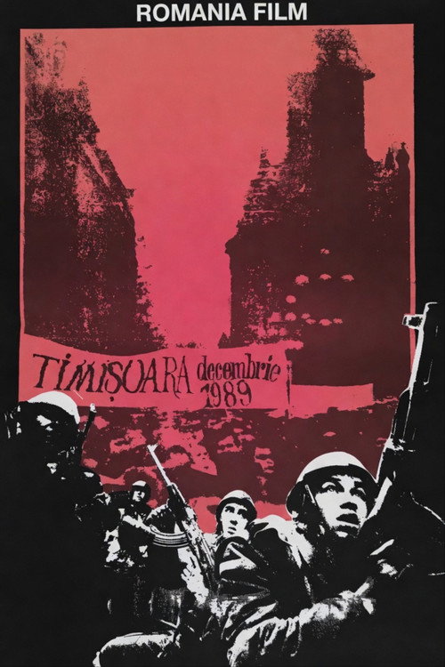 Movie poster for Timisoara: December 1989 (1993)