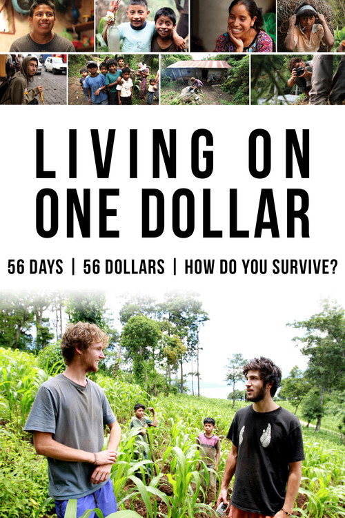 Movie poster for Living on One Dollar (2013)