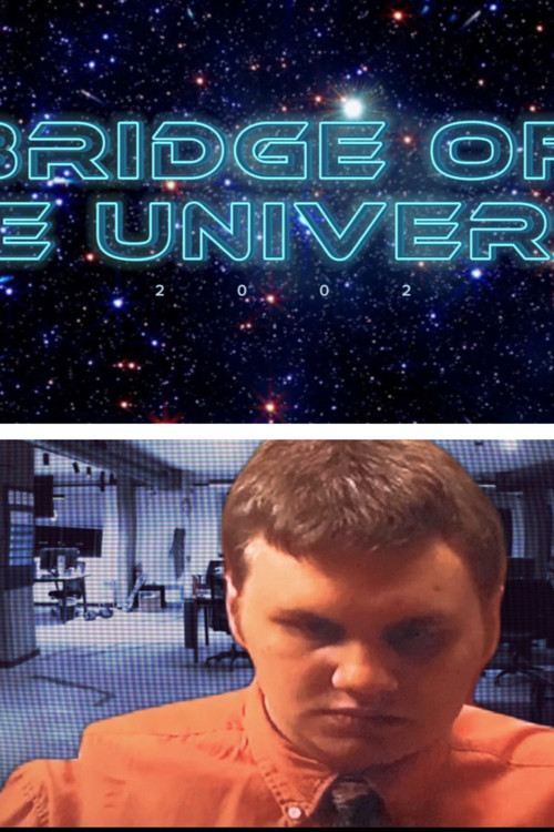 Movie poster for Bridge to the Universe (2002)