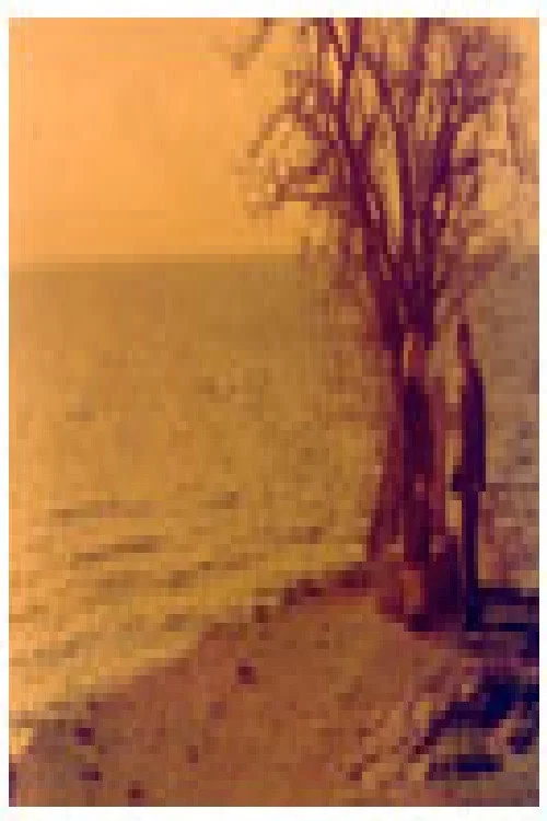 Movie poster for The Love of Kocho Topencharov (1991)