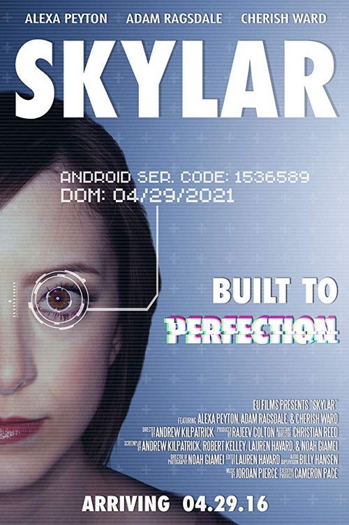 Movie poster for Skylar (2016)