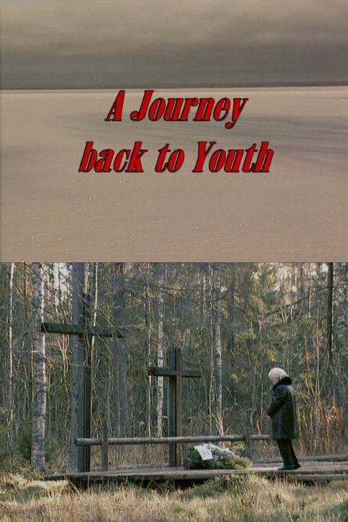 Movie poster for A Journey Back to Youth (2001)