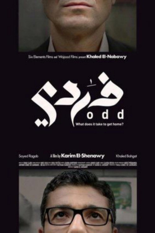 Movie poster for ODD (2013)