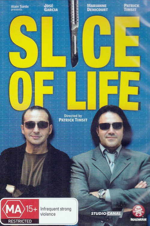 Movie poster for Slice of Life (2002)