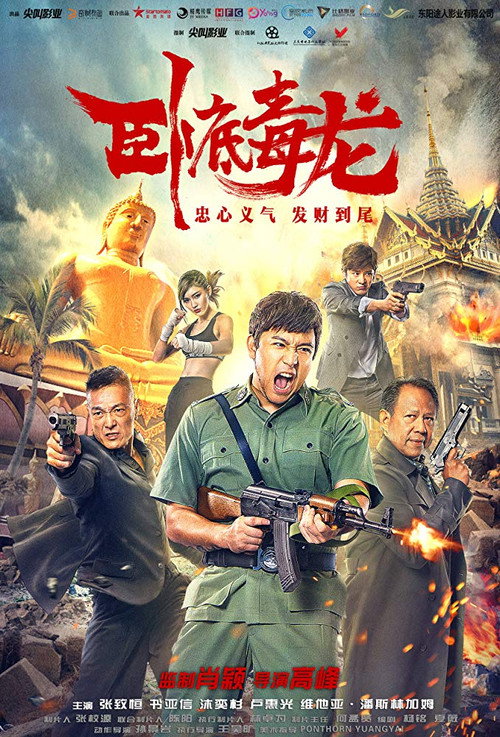 Movie poster for Operation Undercover 2: Poisonous Dragon (2019)