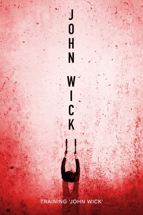 Movie poster for Training 'John Wick' (2017)