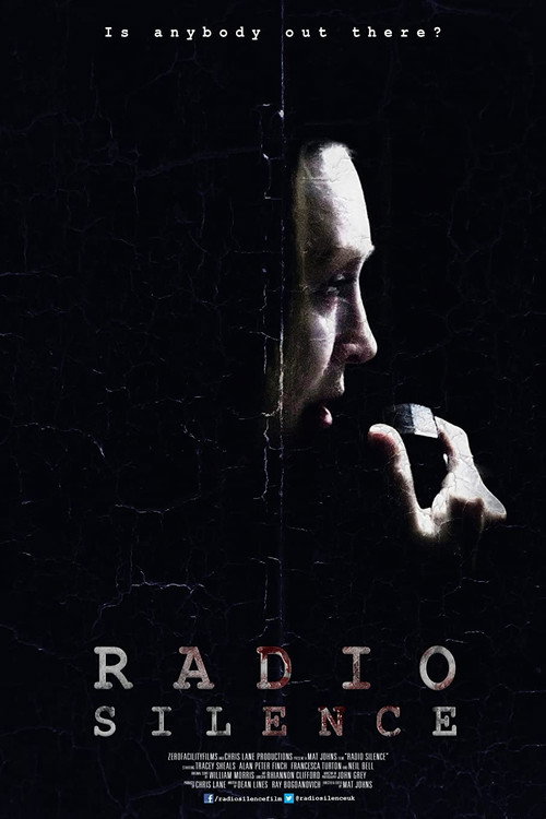 Movie poster for Radio Silence (2013)