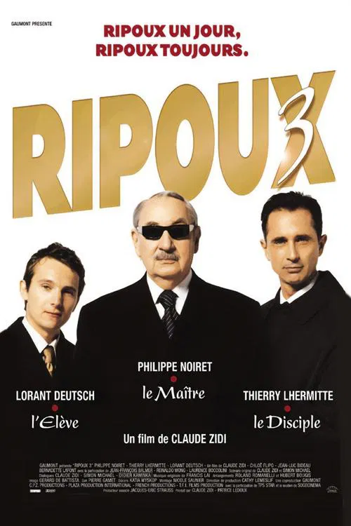 Movie poster for My New Partner III (2003)