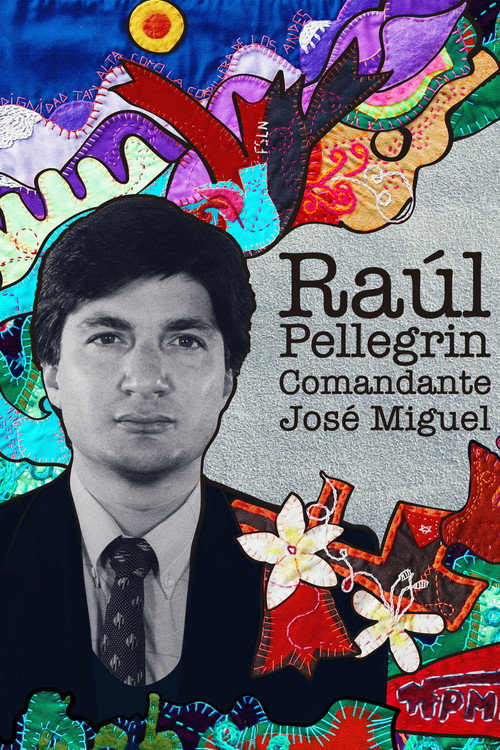 Movie poster for Raúl Pellegrin, Comandante José Miguel (2019)